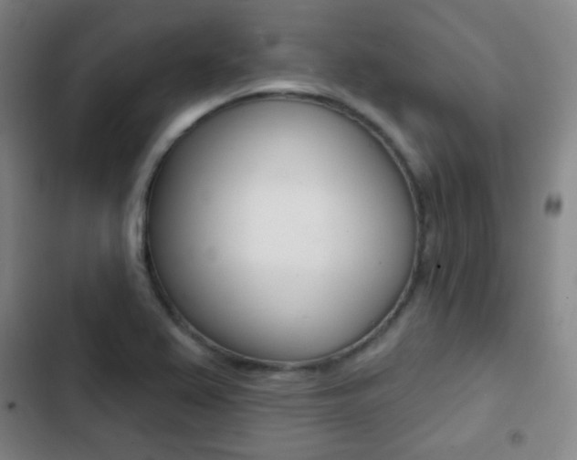 X0000103241367200808281023