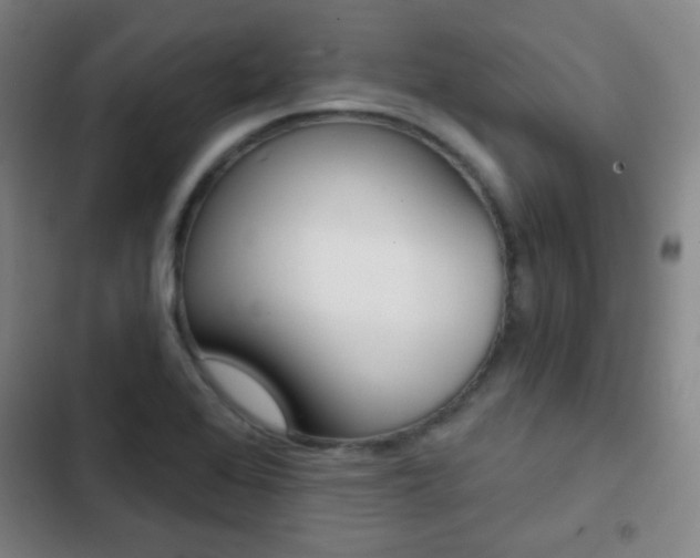 X0000103241368200808281023