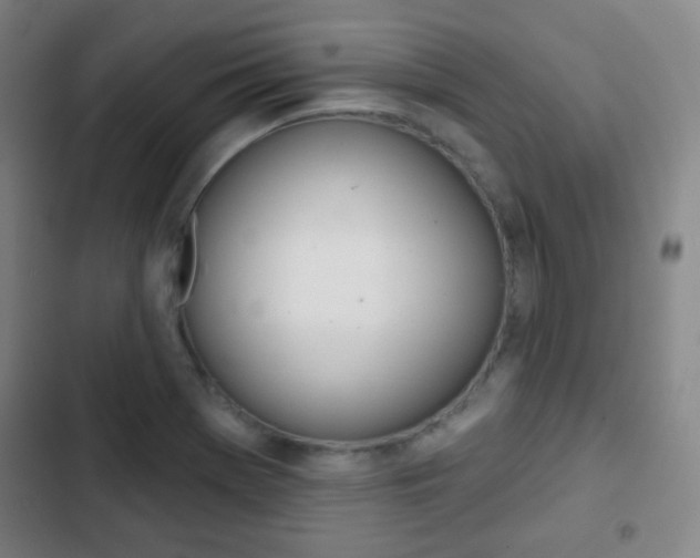X0000103241369200808281023