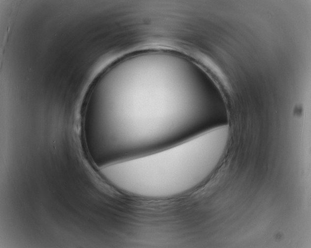 X0000103241372200808281023