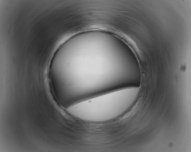 X0000103241373200808281023