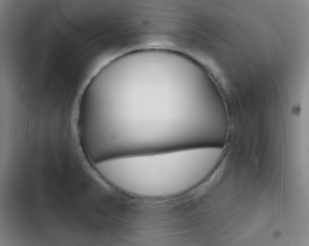X0000103241374200808281023