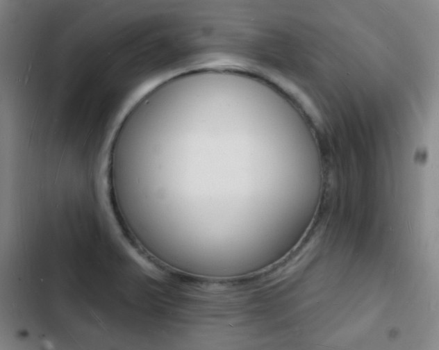 X0000103241375200808281023