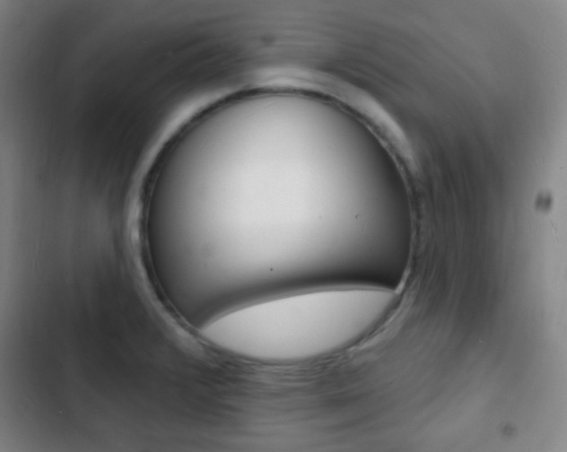 X0000103241376200808281023