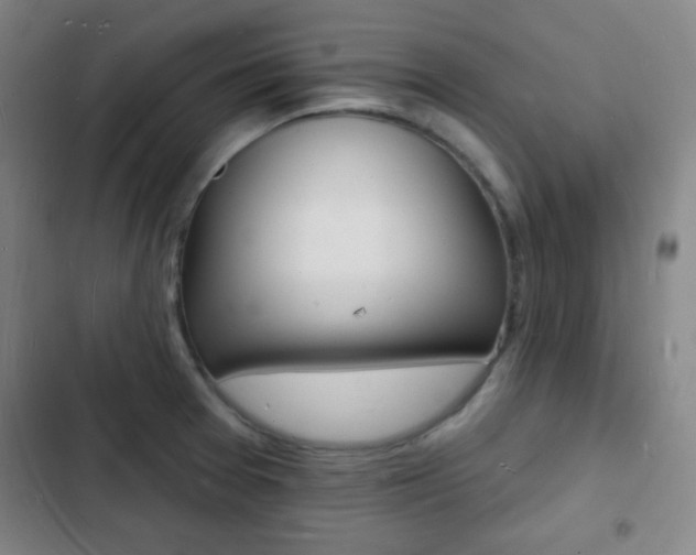 X0000103241377200808281023