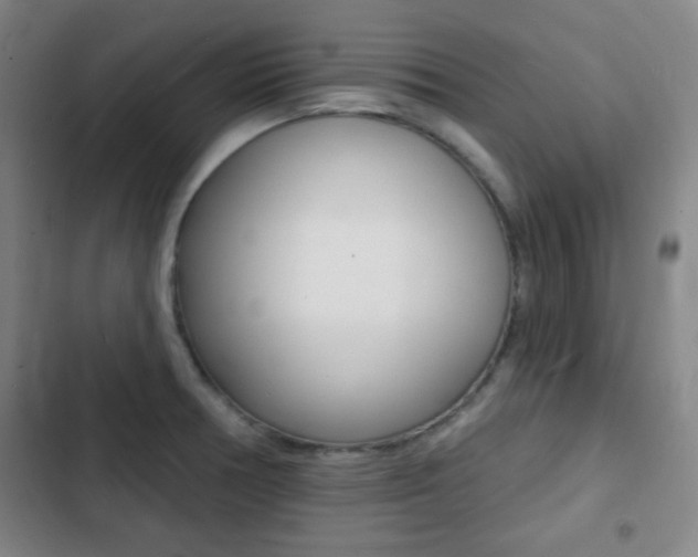 X0000103241378200808281023