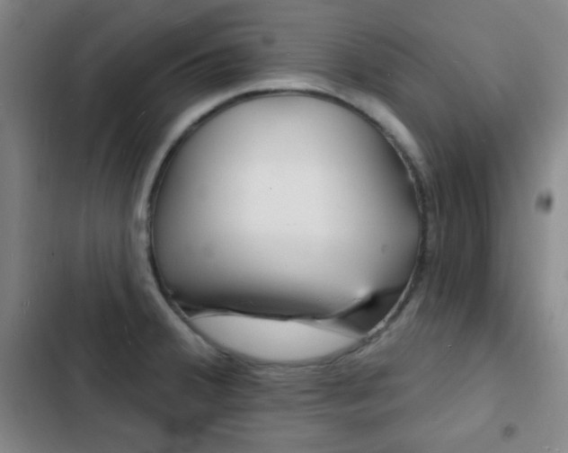 X0000103241380200808281023