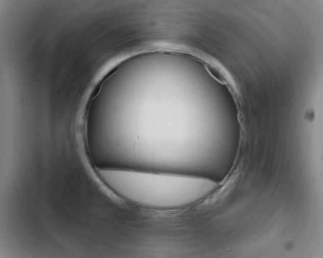 X0000103241381200808281023