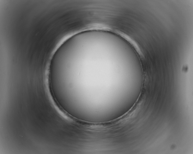 X0000103241383200808281023