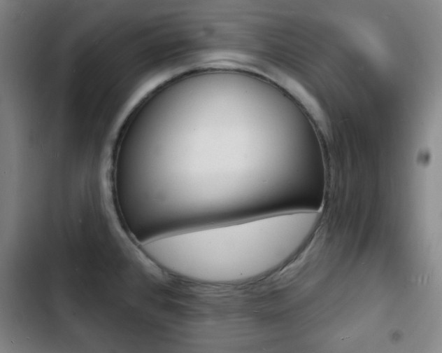 X0000103241384200808281023
