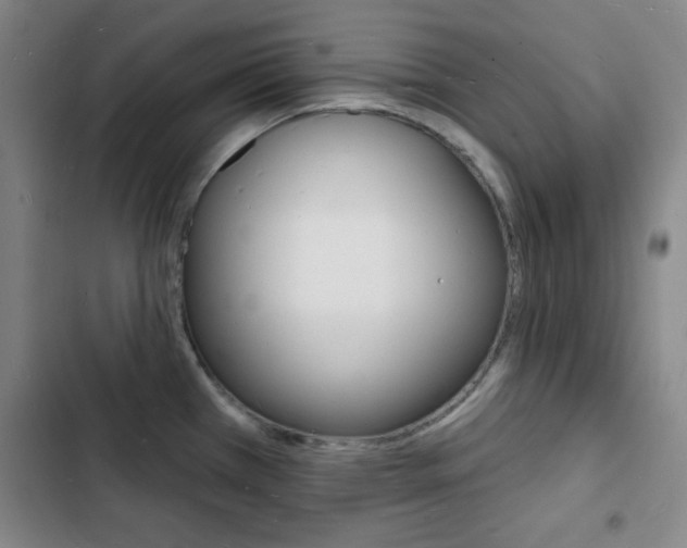 X0000103241385200808281023