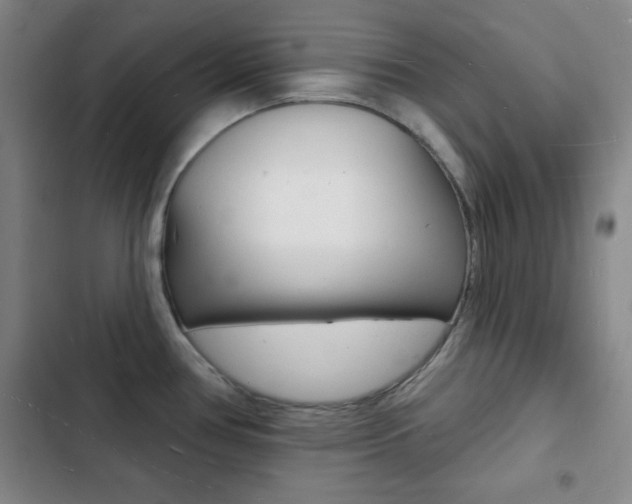 X0000103241386200808281023