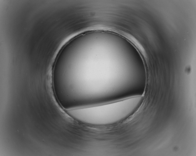 X0000103241388200808281023