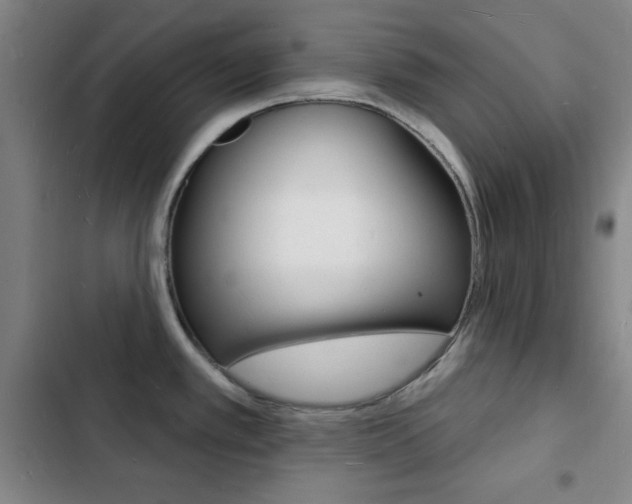 X0000103241389200808281022