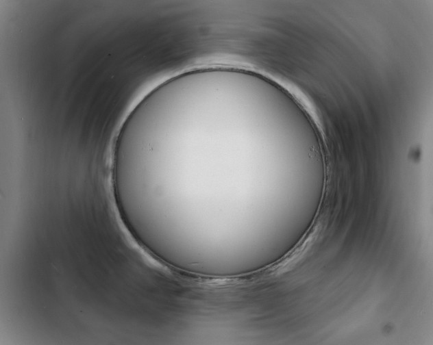 X0000103241390200808281022