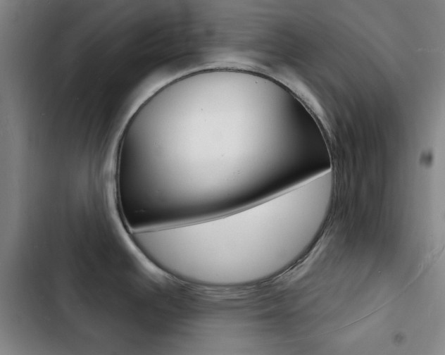X0000103241391200808281022