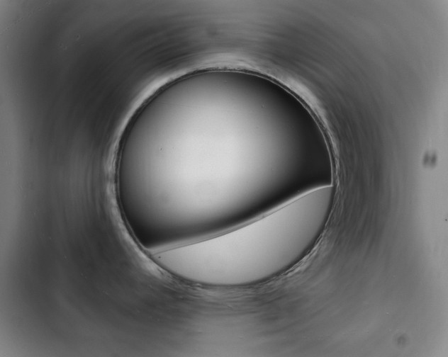 X0000103241392200808281022