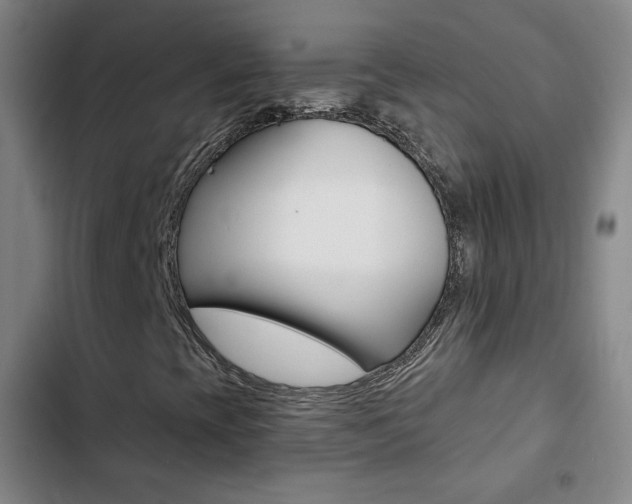 X0000103241393200808281022