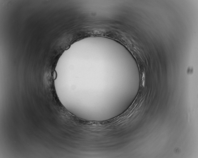 X0000103241395200808281022