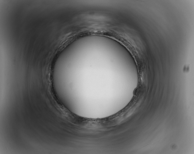 X0000103241396200808281022