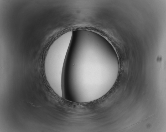 X0000103241398200808281022