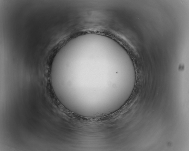 X0000103241399200808281022