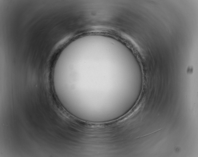 X0000103241403200808281022