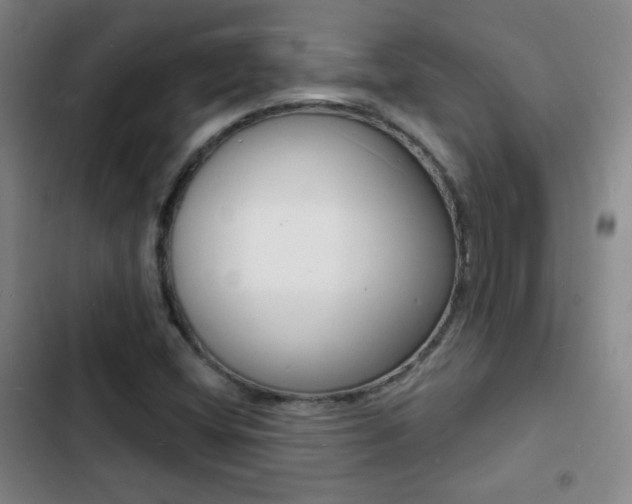 X0000103241404200808281022