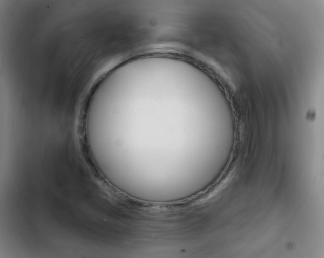 X0000103241405200808281022