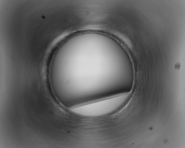 X0000103241406200808281022