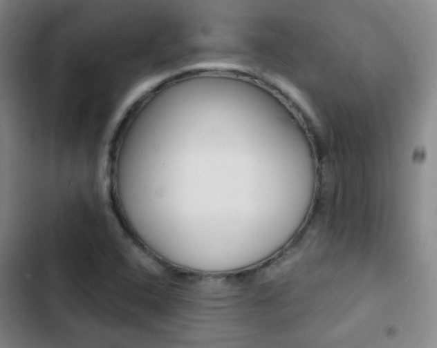 X0000103241408200808281022
