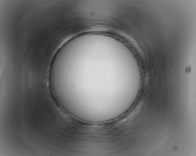 X0000103241409200808281022