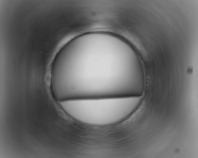 X0000103241413200808281022
