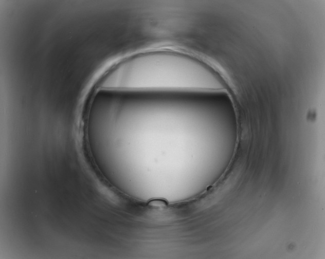 X0000103241414200808281022