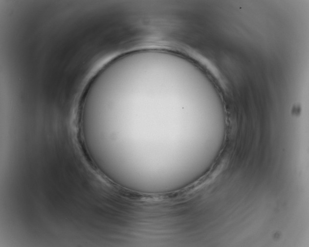 X0000103241415200808281022