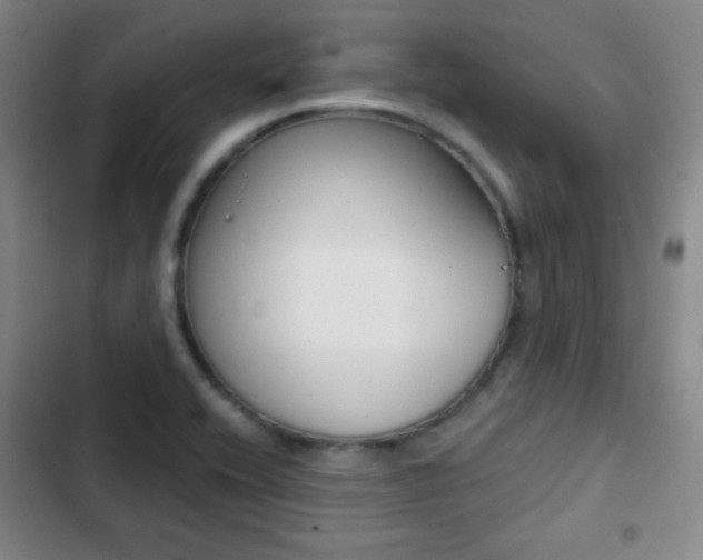 X0000103241416200808281022