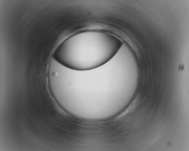 X0000103241417200808281022