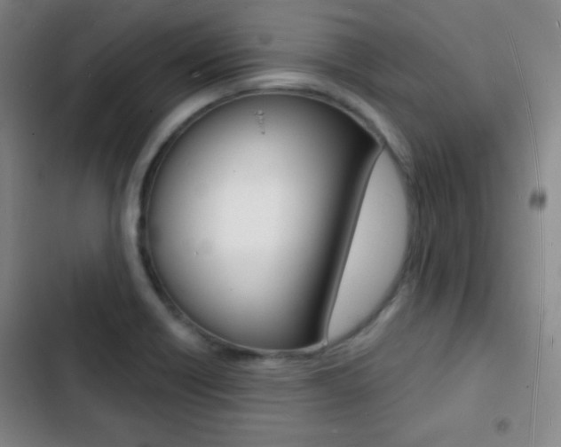 X0000103241418200808281022