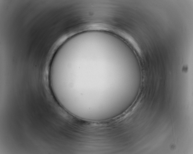 X0000103241419200808281022