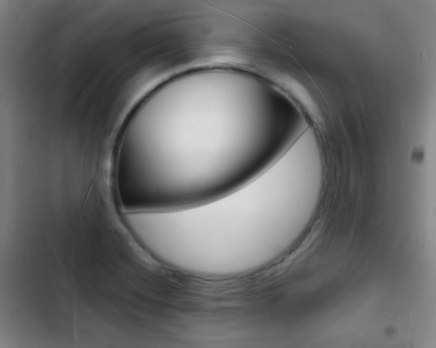X0000103241420200808281022