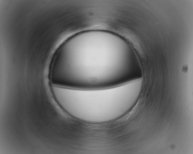 X0000103241422200808281022