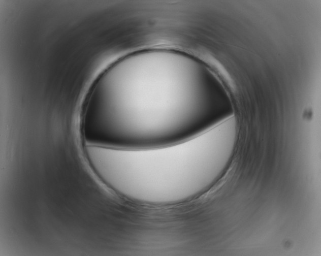 X0000103241424200808281022