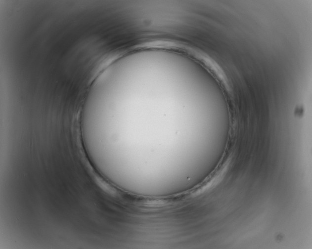 X0000103241425200808281022