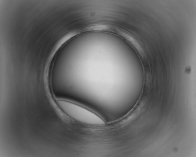 X0000103241426200808281022