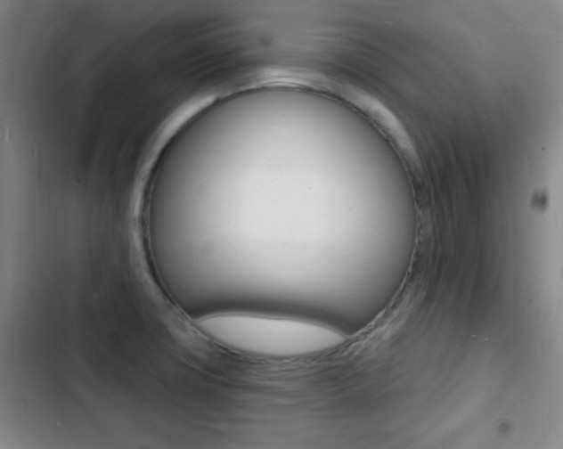 X0000103241427200808281022