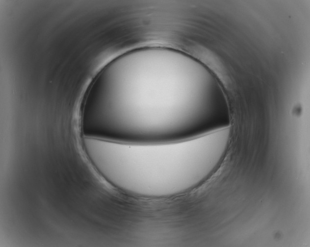 X0000103241428200808281022