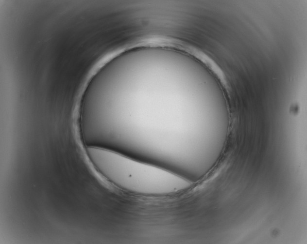 X0000103241429200808281022
