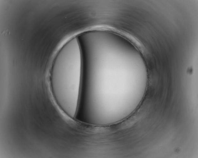 X0000103241430200808281022