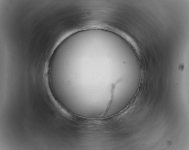 X0000103241431200808281022
