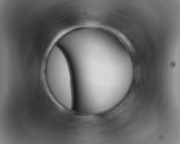 X0000103241432200808281022